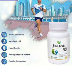 Pine Bark - 60 capsules, 100mg VitalLocks & Wellness